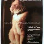 Rivista omaggio gratis Pet4you