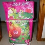 Carrellino per la spesa vinto con il concorso Pink Lady