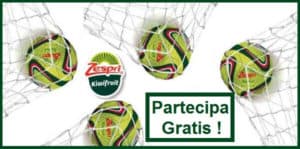 Vinci-gratis-una-delle-90-palloni-Zespri