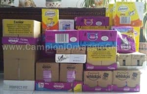 forniture-annuali-di-prodotti-Whiskas-ricevute Ricevute-forniture-annuali-di-prodotti-Whiskas