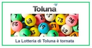 Vinci-fino-a-2.000-euro-con-Toluna