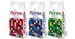 Concorso Monge Zanna Bianca