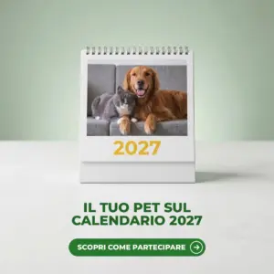 Calendario da tavolo 2027 L'Isola dei Tesori con la foto di un cane e un gatto, su un piano di pietra bianca