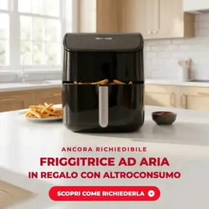 Friggitrice ad aria nera con patatine appena fritte, il regalo di benvenuto Altroconsumo