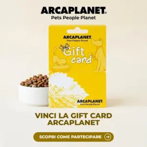 Gift Card Arcaplanet in palio nel giveaway Instagram Always On